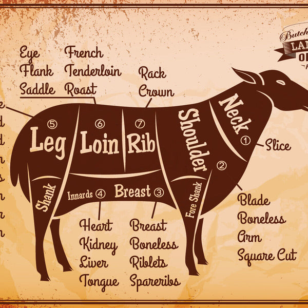 Nostalgie Schild Lamb Cuts Lamm Diagramm 12x18 / 20x30 / 30x40 Blech od. Holz