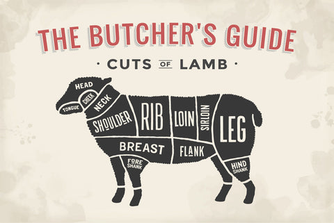 Nostalgie Schild Cuts of Lamb Lamm Diagr. 12x18 / 20x30 / 30x40 Blech od. Holz