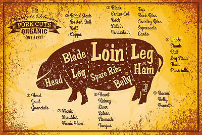 Nostalgie Schild Pork Cuts Schwein Diagramm 12x18 / 20x30 / 30x40 Blech od. Holz