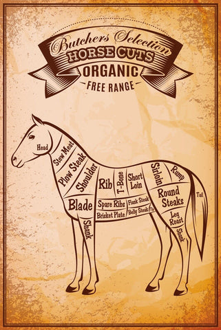 Nostalgie Schild Horse Cuts Pferd Diagramm 12x18 / 20x30 / 30x40 Blech od. Holz