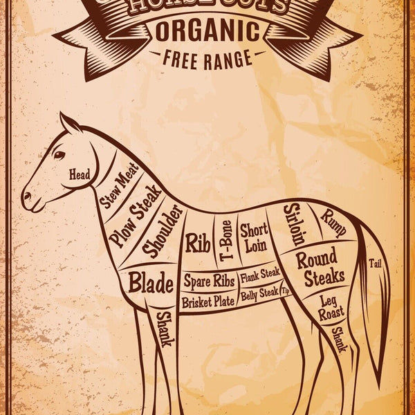 Nostalgie Schild Horse Cuts Pferd Diagramm 12x18 / 20x30 / 30x40 Blech od. Holz