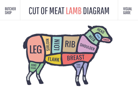 Nostalgie Schild Cuts of Lamb Lamm Diagr. 12x18 / 20x30 / 30x40 Blech od. Holz