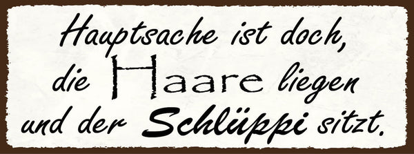 Schild Hauptsache Ist Doch Die Haare Liegen & Der Schlüppi Sitzt Schlüpfer 27x10