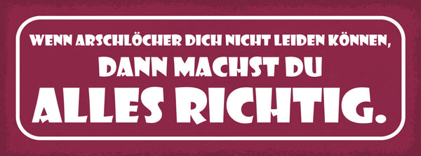 Schild Wenn Arschlöcher Dich Nicht Leiden Können Machst Du Alles Richtig 27x10
