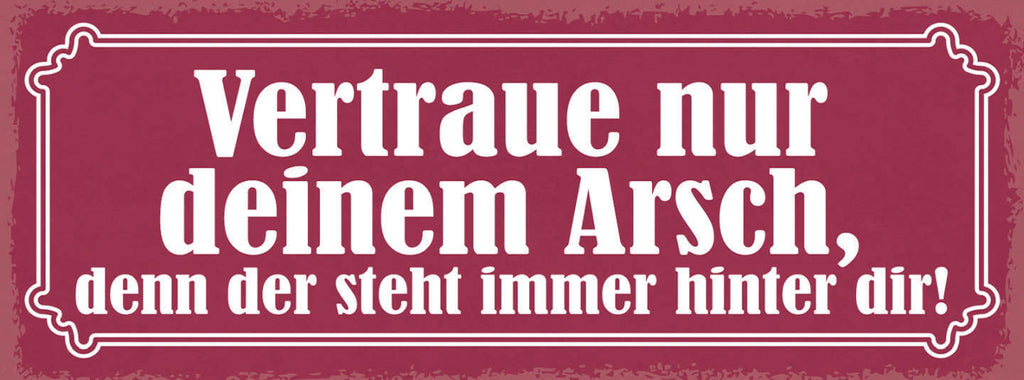 Schild Vertraue Nur Deinem Arsch Denn Der Steht Immer Hinter Dir Hintern 27x10