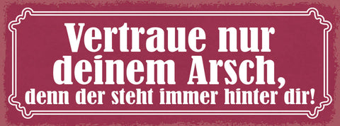 Schild Vertraue Nur Deinem Arsch Denn Der Steht Immer Hinter Dir Hintern 27x10