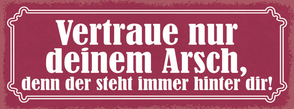 Schild Vertraue Nur Deinem Arsch Denn Der Steht Immer Hinter Dir Hintern 27x10