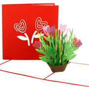 3D Pop Up Glückwunschkarte Geburtstag Valentin Muttertag, Format 15x15 50036
