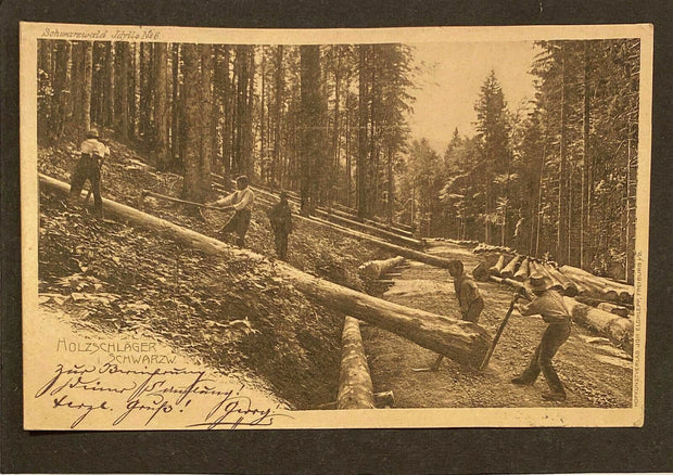 Holzschläger Schwarzwald 80225