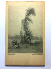 Baumstudie (A. Niklitschek) - Kuh auf Wiese bei Baum - Künstlerkarte 50015 TH