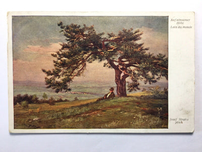 Auf einsamer Höhe (J. Straka) - Mann auf Alm unter Baum - Künstlerkarte 30160 TH