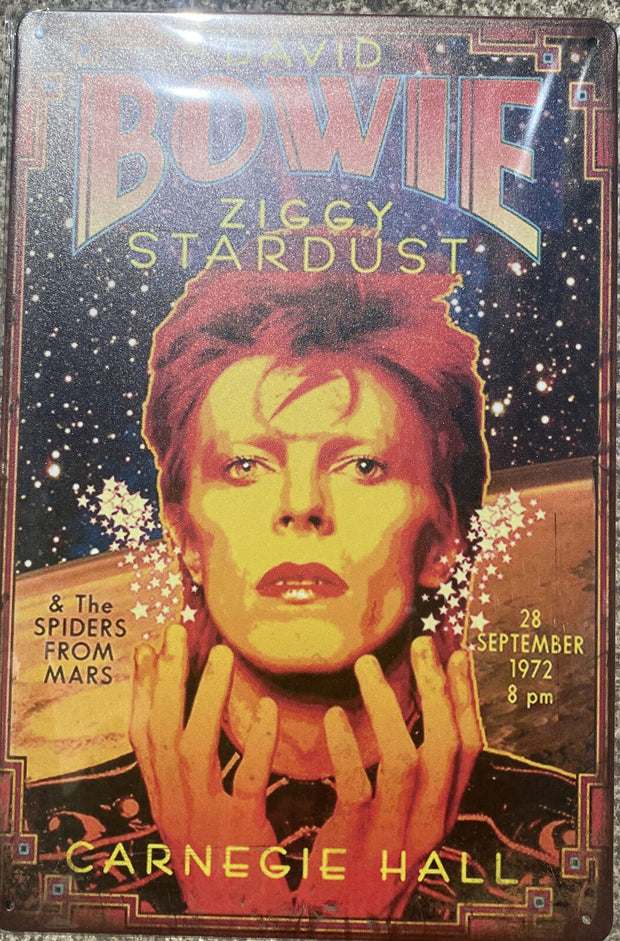 Musik Schild David Bowie Ziggy Stardust Carnegie Hall Schild 30x20 70002
