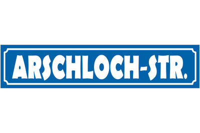 Schild Arschloch Straße Ort Gasse Fluchen Beschimpfung 46 x 10 Blech od. Holz