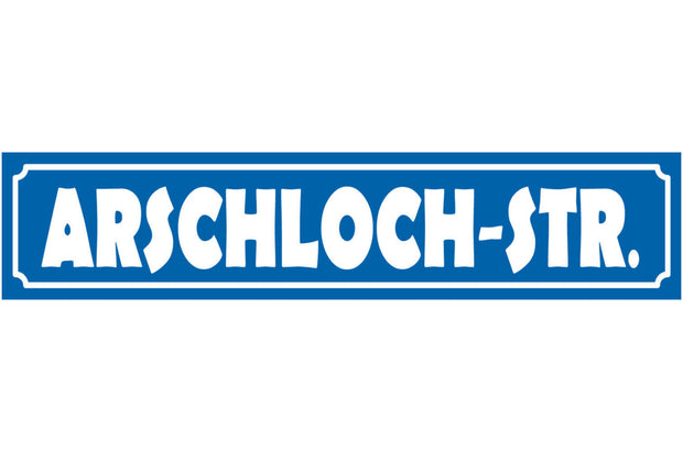 Schild Arschloch Straße Ort Gasse Fluchen Beschimpfung 46 x 10 Blech od. Holz