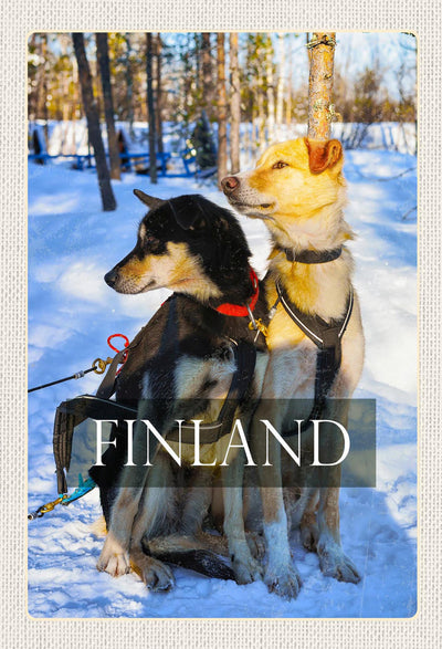 Schild Spruch Finland Finnland Schlittenhunde Wald Schnee Winter JW