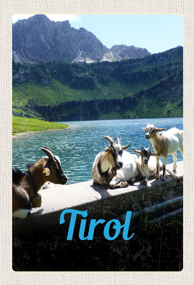 Schild Spruch Tirol Österreich Berge Bergsee Ziegen JW